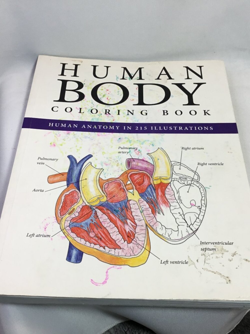 Human Body Coloring Book - Paperback - Metro Books 2015 GOOD